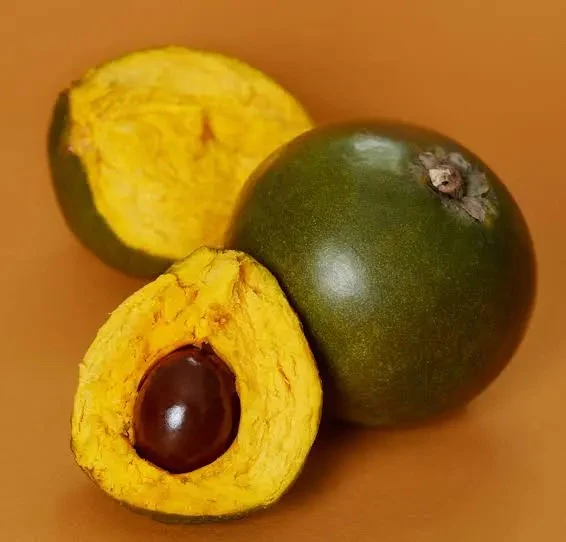 Miniatuur 2