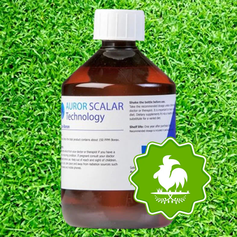 Ontgiften met Borax Detox 150 PPM